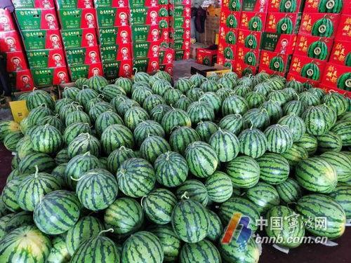 每日吃瓜大赛入口汇聚地,汇聚地揭秘，瓜界风云再起